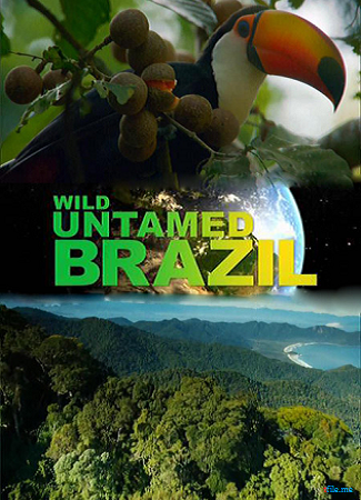 Дикая Бразилия (серии 1-5 из 5) / Wild Untamed Brazil DUB
