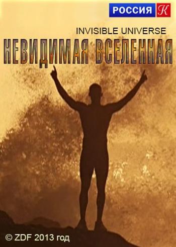 Невидимая Вселенная (1-2 серии из 2) / Invisible Universe VO