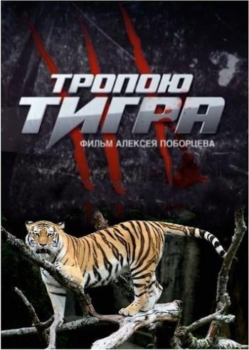 Тропою тигра