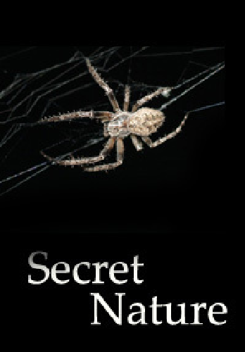Тайны природы. Шелковая смерть / Secret Nature. Death by Silk VO
