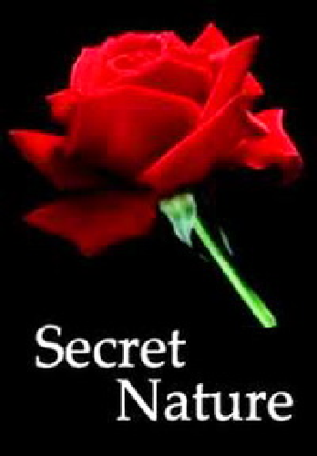 Тайны природы. Сила цветов / Secret Nature. Flower Power VO
