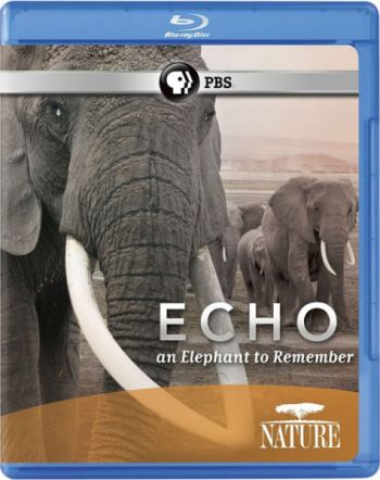 Природа Эхо: Воспоминания о слонихе / PBS. Nature - Echo: An Elephant to Remember DVO