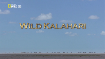 Дикая Калахари / NAT GEO WILD. Wild Kalahari DUB