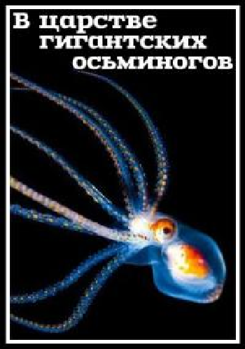 В царстве гигантских осьминогов / In the kingdom of the giant octopus VO