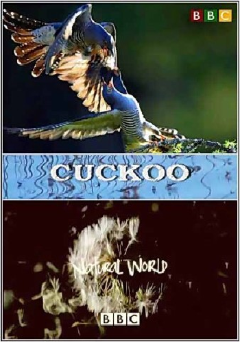 Мир природы. Кукушка / The Natural World. Cuckoo VO