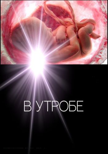 В утробе / In Utero DVO