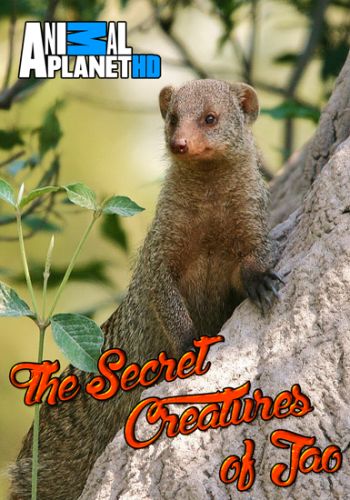 Загадочные животные острова Джао (1-7 серии из 7) / Animal Planet. The Secret Creatures of Jao VO