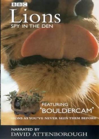 Шпион в Логове Льва / Animal Planet. Lions Spy in the Den VO