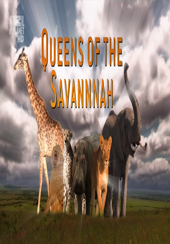 Королевы саванны (2 сезон: 1-3 серии из 3) / Animal Planet. Queens Of The Savannah DUB