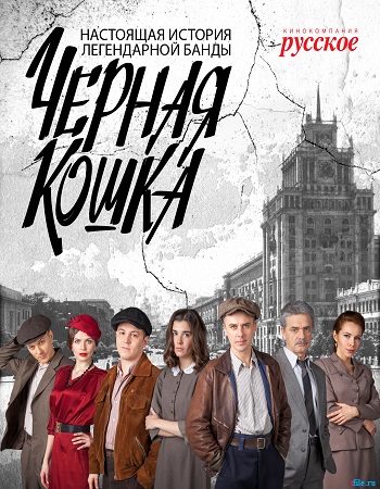 Черная кошка (1-16 серии из 16)