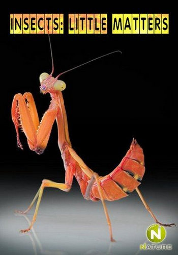 Мир насекомых и пауков (1-2 серии из 2) / Viasat Nature. Insects: Little Matters DUB