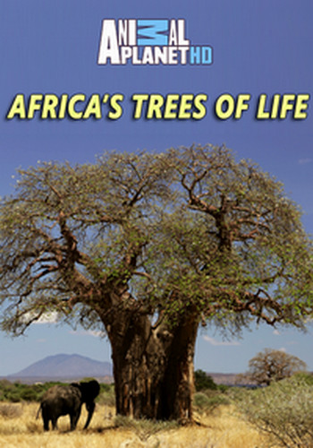 Древо жизни (3 серии из 3) / Africa's Trees of Life DUB