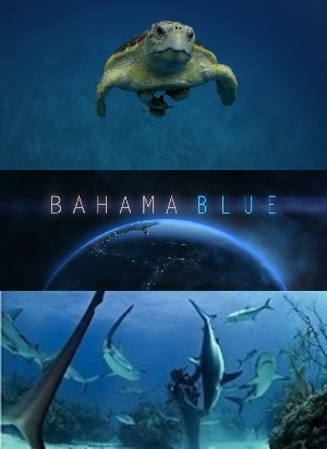 Голубые Багамы (1 сезон, 1-6 серии из 6) / Bahama Blue DUB