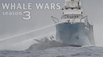 Китовые войны (3 сезон, 1-13 серии из 13) / Animal Planet. Whale Wars VO