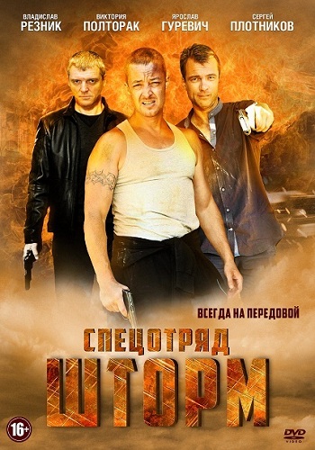 Спецотряд Шторм (1-16 серии из 16)
