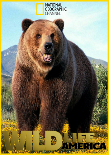 Дикая природа Америки / Wildlife America VO