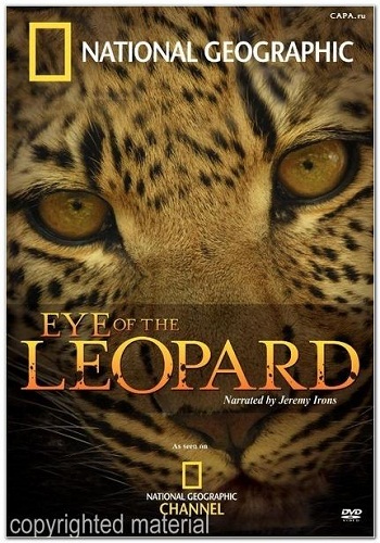 Глаз леопарда / National Geographic. Eye of the Leopard VO
