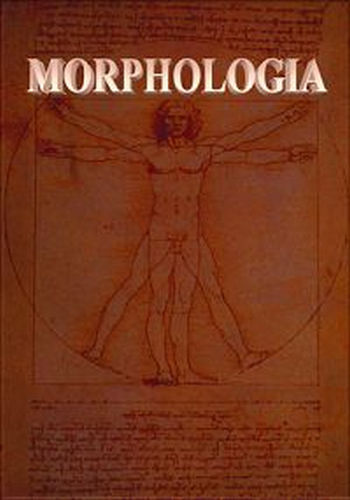 Морфология / Morphologia