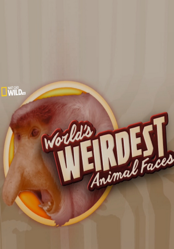 Самые странные животные в мире / World's Weirdest Animal Faces VO