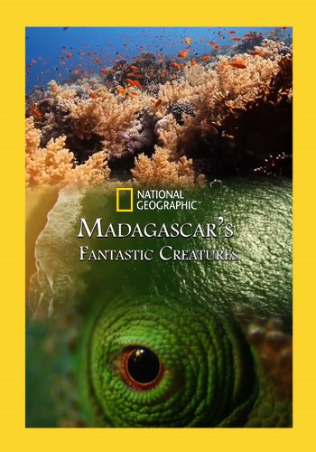 Фантастические существа Мадагаскара / Madagascar's Fantastic Creatures VO