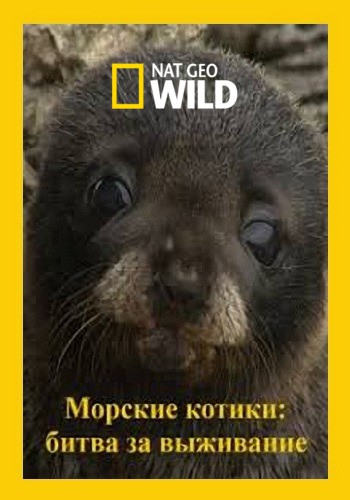 Морские котики: битва за выживание / NAT GEO WILD. Fur Seals. Battle for Survival DUB