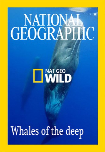 Глубоководные киты / NAT GEO WILD. Whales of the deep VO