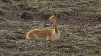 Discovery: Экватор. Парадокс Анд / Equator. Paradox of the Andes