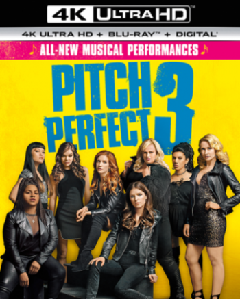 Идеальный голос 3 / Pitch Perfect 3 DUB