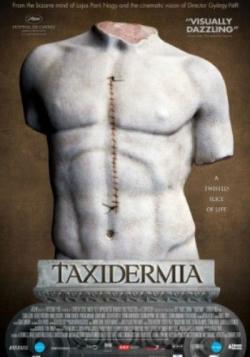 / Taxidermia VO