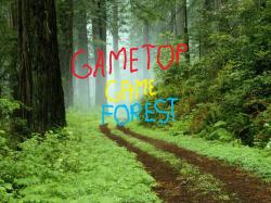 GameTop game Collection