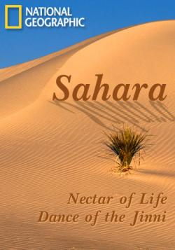 National Geographic -  / National Geographic - Sahara